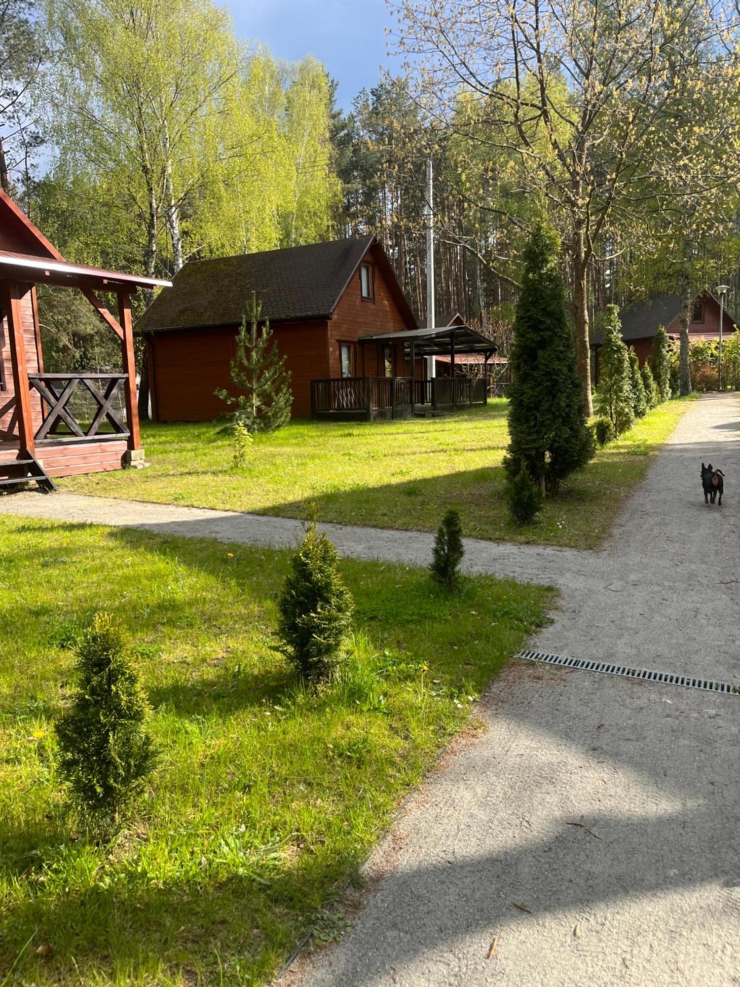 Domki Letniskowe Nad Jeziorem Kazub Cieciorka Dış mekan fotoğraf